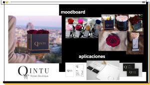 portafolio branding agencia de marketing digital peru