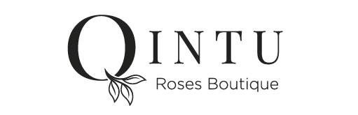 Qintu